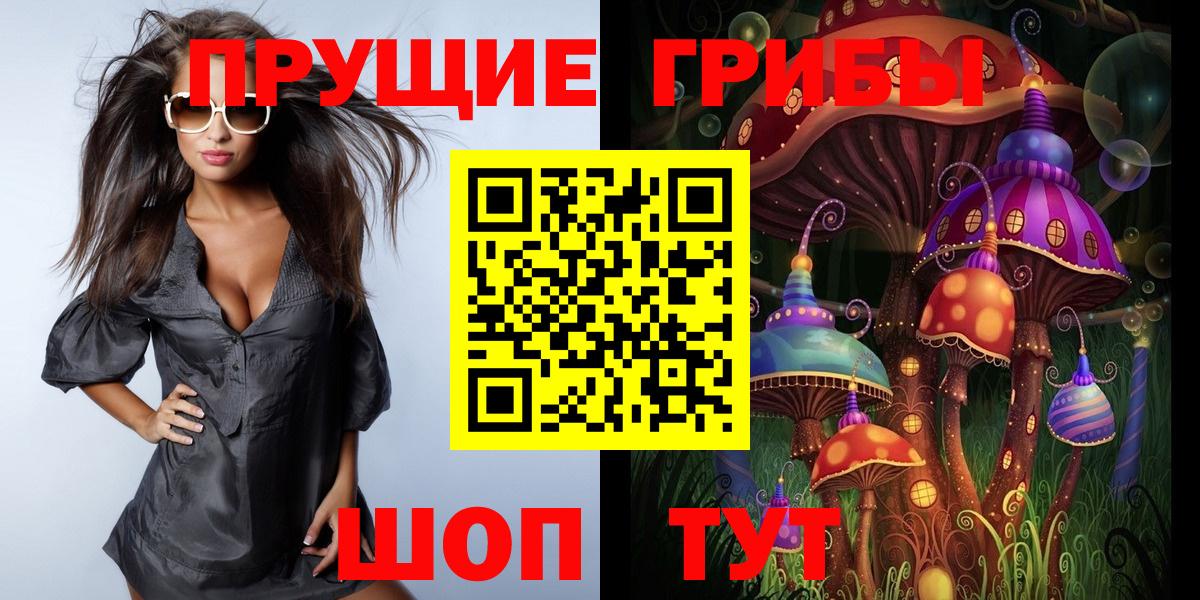 Галлюциногенные грибы Psilocybe  Вход с VPN  Волгоград 