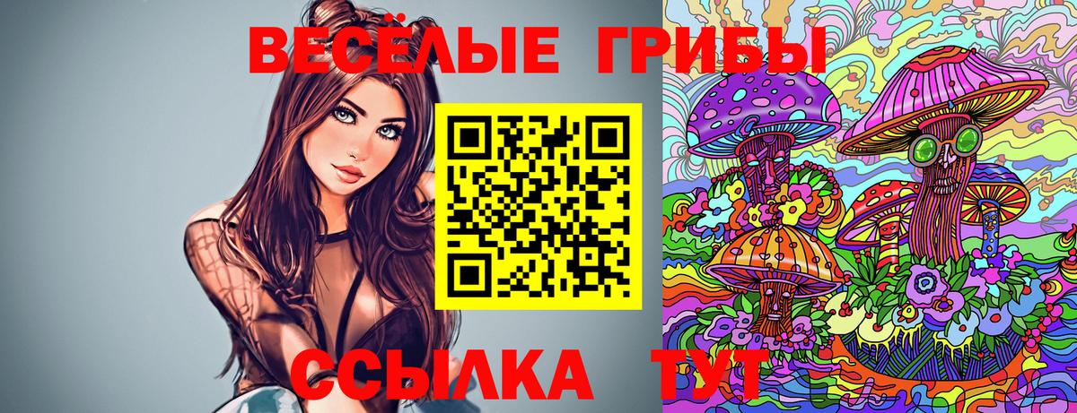 Галлюциногенные грибы GOLDEN TEACHER Волгоград